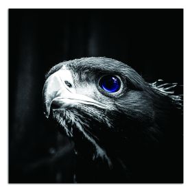 Oppidan Home "Focused Eagle" Acrylic Wall Art (40"H x 40"W)