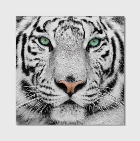 Oppidan Home "Snow Tiger" Acrylic Wall Art (40"H X 40"W)