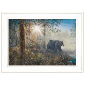 "Shadow in the Mist Collection" By Jim Hansen,, Ready to Hang Framed Print, White Frame