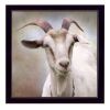 "Up Close Goat" By Lori Deiter, Printed Wall Art, Ready To Hang Framed Poster, Black Frame