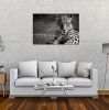 Oppidan Home "Spotted Leopard in Black and White" Acrylic Wall Art (32"H x 48"W)